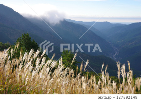 高知県大豊町　ゆとりすとパークおおとよから梶ヶ森スカイライン入口方面を望む 127892149