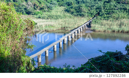 River Lagoon Raised Wood Path Bridge Wetland River Lagoon Raised Wood Path Bridge Wetland 127892286