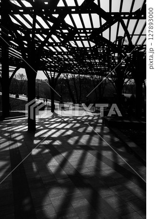 Abstract Black and White Shadows on Pavement from Metal Structure Abstract Black and White Shadows on Pavement from Metal Structure 127893000