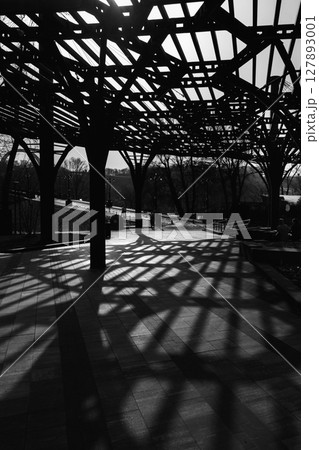 Abstract Black and White Shadows on Pavement from Metal Structure 127893001