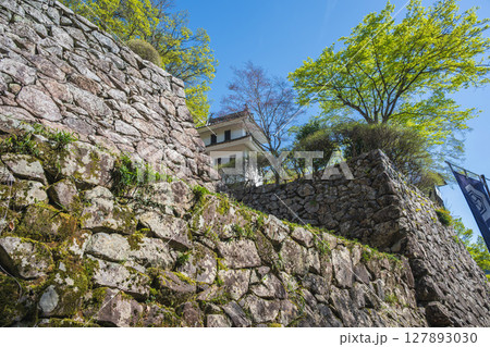 岐阜 郡上八幡城の風景 岐阜 郡上八幡城の風景 127893030