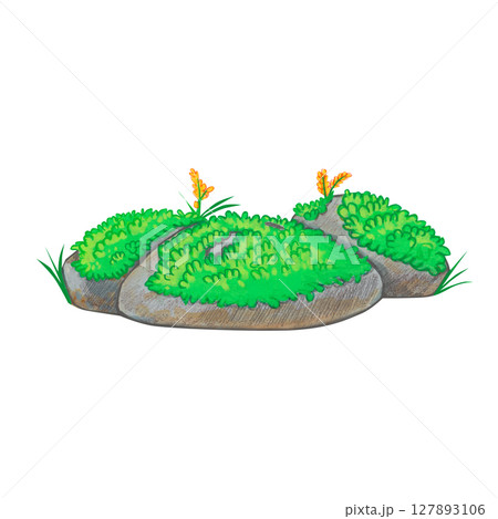The stones are covered with moss, grass and yellow flowers. Watercolor illustration in cartoon style. Part of the landscape. Ideal for creating fairy tale scenes, landscaping, outdoor games. The stones are covered with moss, grass and yellow flowers. Watercolor illustration in cartoon style. Part of the landscape. Ideal for creating fairy tale scenes, landscaping, outdoor games. 127893106