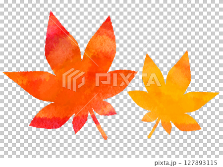秋のイラスト素材 紅葉 水彩風 秋のイラスト素材 紅葉 水彩風 127893115