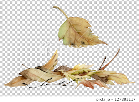 Autumn leaves pile with twigs, crumpled fallen dried forest floor cover. Single element botanical illustration hand drawn in watercolor. Herbarium pages, wildcrafting workshop brochures, scrapbooking 127893117