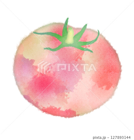トマト　夏　野菜　イラスト　アイコン　イメージ　水彩画 127893144