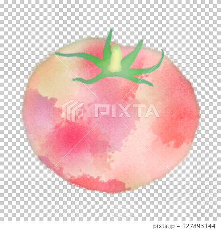 トマト　夏　野菜　イラスト　アイコン　イメージ　水彩画 127893144