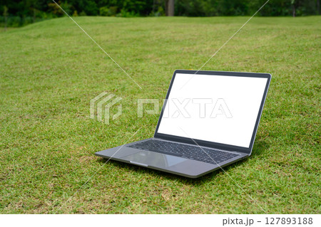 Laptop with blank screen placed on on fresh grass field. Technology lifestyle concepts Laptop with blank screen placed on on fresh grass field. Technology lifestyle concepts 127893188