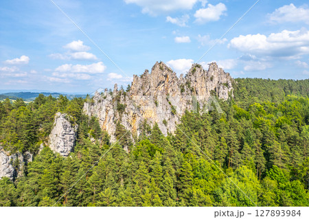Suche skaly features stunning sandstone rock formations rising above lush green forests in the Bohemian Paradise, Czechia. This natural wonder attracts hikers and nature enthusiasts year-round. 127893984