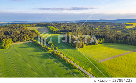 In a tranquil spring evening, lush green fields stretch across the landscape, bordered by a serene forest under a soft sky. Sunlight casts gentle shadows, enhancing the scene's peacefulness. 127894222