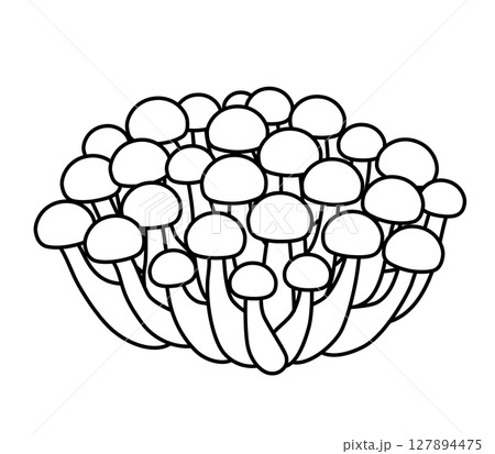 シメジのアイコン 127894475