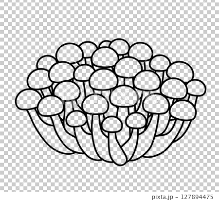 志地圖標 127894475