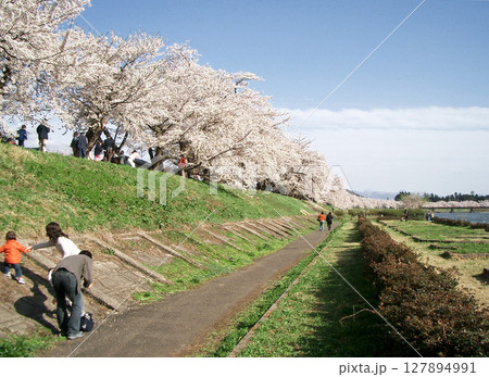 角館の桧木内川の桜(秋田県仙北市) 角館の桧木内川の桜(秋田県仙北市) 127894991