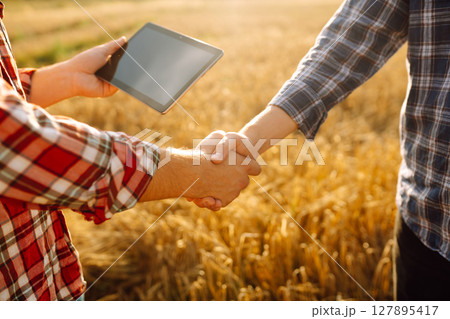 Handshake, joint work of farmers. Two farmers making agreement with handshake in wheat field. Handshake, joint work of farmers. Two farmers making agreement with handshake in wheat field. 127895417