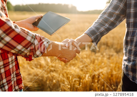 Handshake, joint work of farmers. Two farmers making agreement with handshake in wheat field. Handshake, joint work of farmers. Two farmers making agreement with handshake in wheat field. 127895418