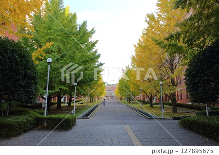 初秋の静岡県立大学谷田キャンパス 静岡県静岡市 127895675
