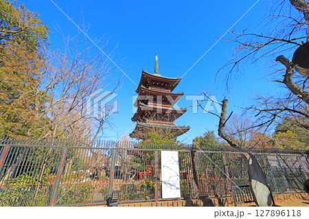 東京都台東区、旧寛永寺五重塔の風景 東京都台東区、旧寛永寺五重塔の風景 127896118