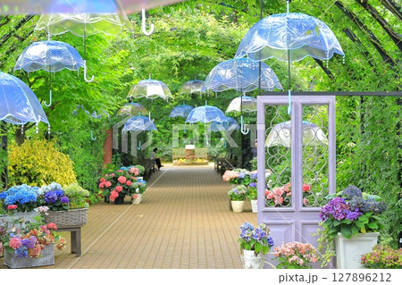 イングリッシュガーデン アジサイフェア イングリッシュガーデン アジサイフェア 127896212