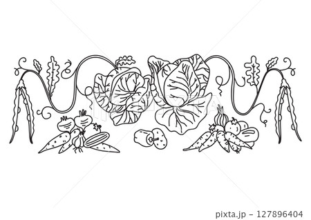 Line art botanical decorative different vegetables horizontal border pattern isolated on white background. Hand drawn outline veggies plants with Roots Stems Leaves vector illustration. Graphic design 127896404
