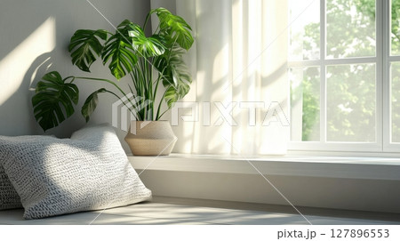 bright Scandinavian-style room with a potted monstera plant beside cozy textured pillows by a sunlit window bright Scandinavian-style room with a potted monstera plant beside cozy textured pillows by a sunlit window 127896553