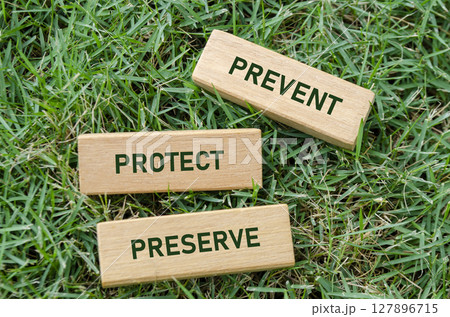 Prevent Preserve Protect text on wooden blocks, emphasizing key steps to sustain and guard the environment. Nature defense concept Prevent Preserve Protect text on wooden blocks, emphasizing key steps to sustain and guard the environment. Nature defense concept 127896715