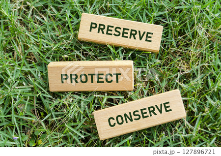 Preserve, Protect and Conserve text on wooden blocks, calling to protect natural resources and biodiversity. Sustainability concept Preserve, Protect and Conserve text on wooden blocks, calling to protect natural resources and biodiversity. Sustainability concept 127896721