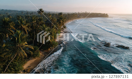 Aerial view of a stunning tropical beach with palm trees at sunrise. 127897131