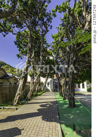 西予　卯之町の街並み　卯之町幼稚園　愛媛県西予市 127897248