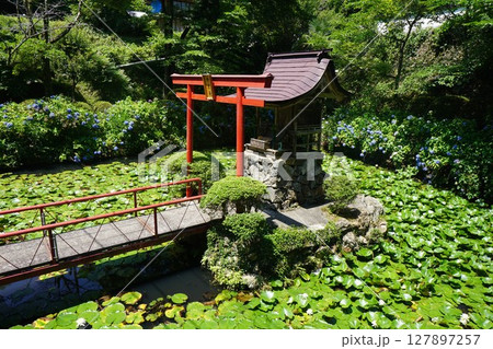 岡山県真庭市にある真言宗のお寺「木山寺」：弁才天 127897257