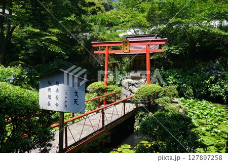 岡山県真庭市にある真言宗のお寺「木山寺」:弁才天 岡山県真庭市にある真言宗のお寺「木山寺」:弁才天 127897258