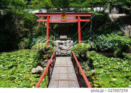 岡山県真庭市にある真言宗のお寺「木山寺」：弁才天 127897259