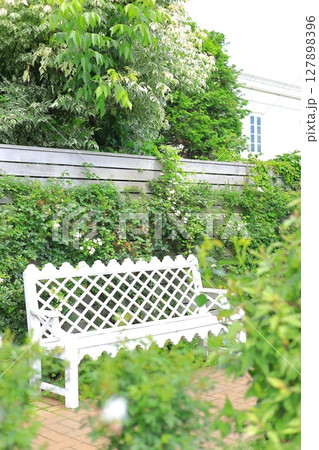 横浜イングリッシュガーデン　アジサイとベンチ 127898396