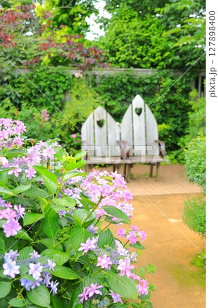横浜イングリッシュガーデン アジサイとベンチ 横浜イングリッシュガーデン アジサイとベンチ 127898400