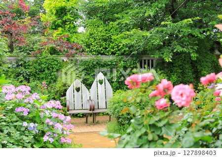 横浜イングリッシュガーデン アジサイとベンチ 横浜イングリッシュガーデン アジサイとベンチ 127898403