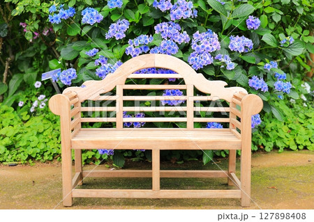 横浜イングリッシュガーデン アジサイとベンチ 横浜イングリッシュガーデン アジサイとベンチ 127898408