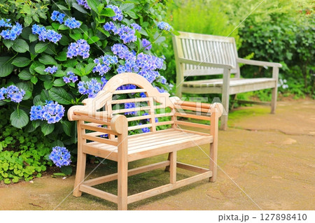 横浜イングリッシュガーデン アジサイとベンチ 横浜イングリッシュガーデン アジサイとベンチ 127898410