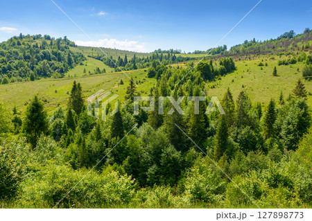 summer landscape with forest on the hill. scenic view of highlands of ukraine. natural environment of transcarpathia with trees in green foliage. scenery on a sunny day under clear blue sky 127898773