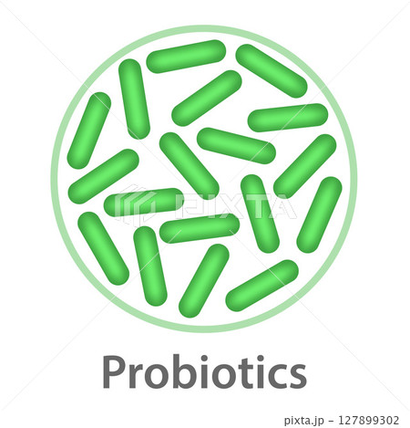 Probiotics bacteria icon, microbiome flora, lactobacillus bacterium. Probiotics bacteria icon, microbiome flora, lactobacillus bacterium. 127899302
