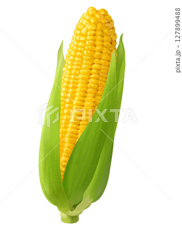 美味しそうなとうもろこし 127899488