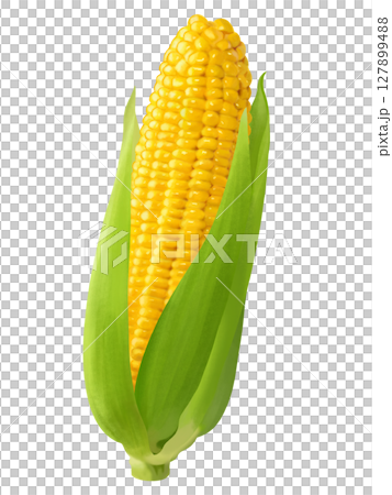 美味しそうなとうもろこし 127899488