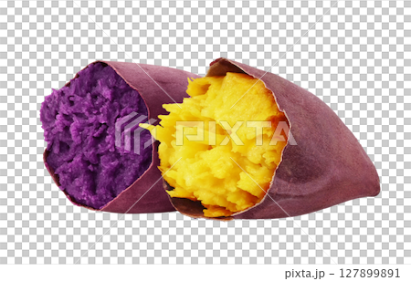 紫薯,地瓜,插畫,寫實 紫薯,地瓜,插畫,寫實 127899891