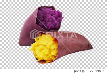 紫薯，地瓜，插畫，寫實 127899893