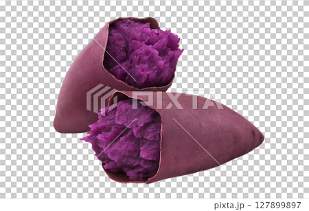 Purple sweet potato, red sweet potato, illustration, realistic 127899897