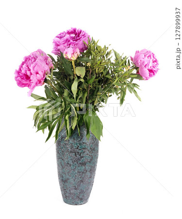 Peony in studio 127899937