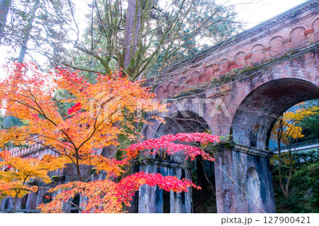 紅葉の南禅寺　琵琶湖疏水 127900421