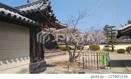 光明皇后創建、天平の総国分尼寺、法華寺門跡、奈良の法華寺、正式には法華滅罪之寺ほっけめつざいのてら 光明皇后創建、天平の総国分尼寺、法華寺門跡、奈良の法華寺、正式には法華滅罪之寺ほっけめつざいのてら 127901536