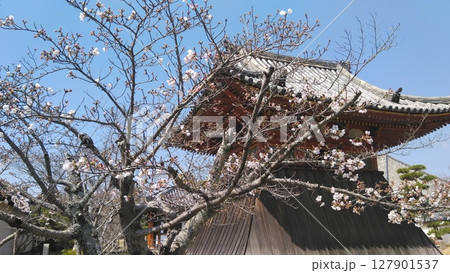 光明皇后創建、天平の総国分尼寺、法華寺門跡、奈良の法華寺、正式には法華滅罪之寺ほっけめつざいのてら 光明皇后創建、天平の総国分尼寺、法華寺門跡、奈良の法華寺、正式には法華滅罪之寺ほっけめつざいのてら 127901537