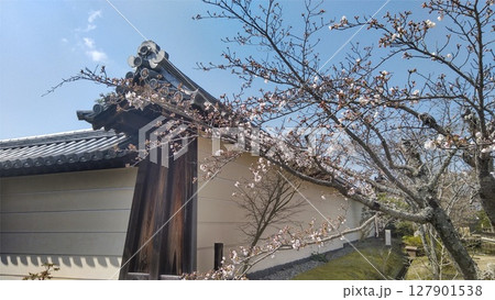 光明皇后創建、天平の総国分尼寺、法華寺門跡、奈良の法華寺、正式には法華滅罪之寺ほっけめつざいのてら 127901538