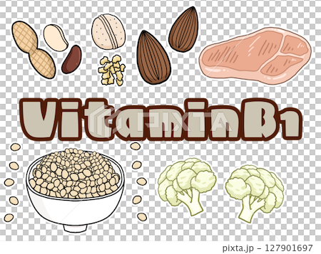 ビタミンB1のイメージイラスト（英字） 127901697