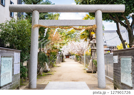 機織りや染物の伝承（漢織姫と呉織姫）の地に創立した津門神社（つと神社）　鳥居　西宮市津門西口町 127901726