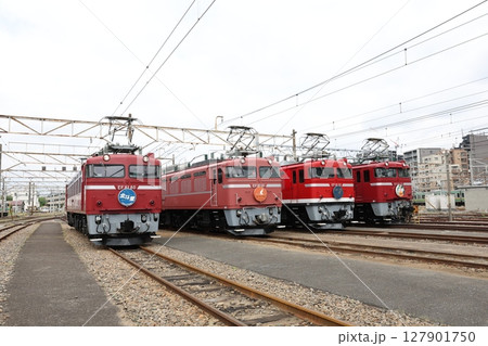 EF81形電気機関車 127901750